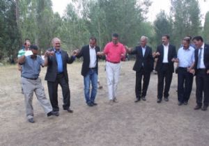 CİNİSLİLER ŞÖLENDE BULUŞTU