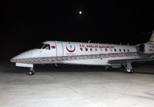 GAZZELİ YARLILAR TÜRKİYE'YE GETİRİLDİ