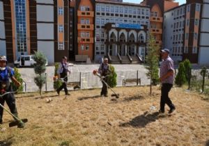 YENİMAHALLE'DE YABANİ OT OPERASYONU