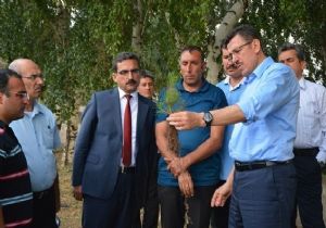 MÜDÜR YARDIMCISI ŞEKER ERZURUM'DA