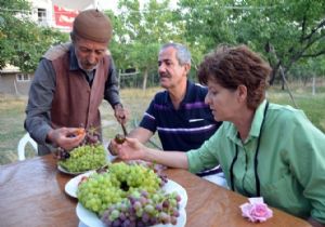 BAŞKAN NECATİ GÜRSOY ÇİÇEKÇİ DEDEYİ ZİYARET ETTİ