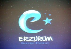 Vali'ye logo teşekkürü