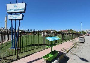 Sokak hayvanlarına insani yaklaşım