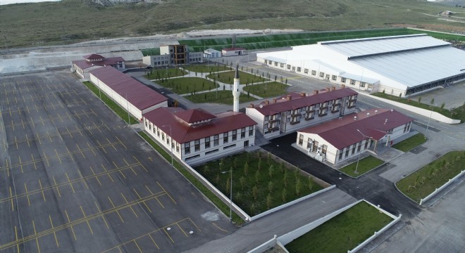Avrupa'nın en büyük hayvan pazarı Erzurum'da