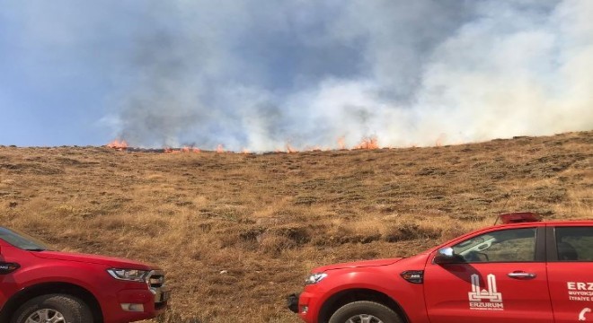 Aşkale'de makilik alanda yangın