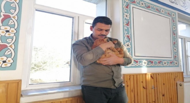 Cami imamı onlarca kediye bakıyor