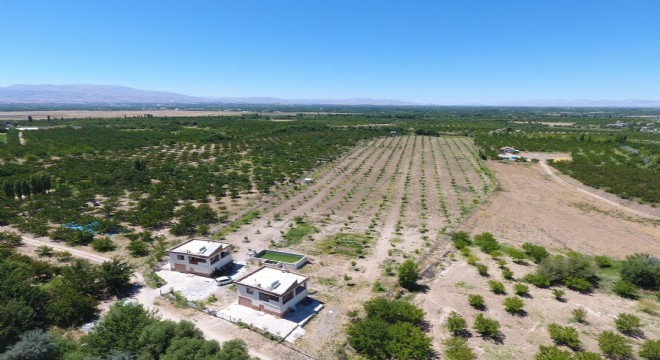 DAP BKİ'den yem üretimine destek