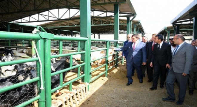 DAP'tan Bölge tarımına destek