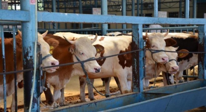 Erzurum 2'inci sırada