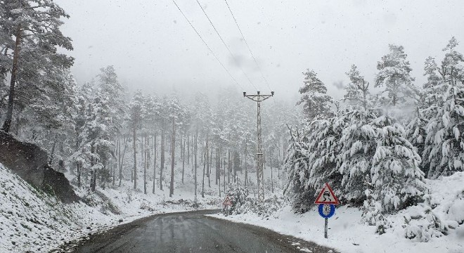 Gümüşhane'nin yükseklerinde kar yağışı etkili oldu