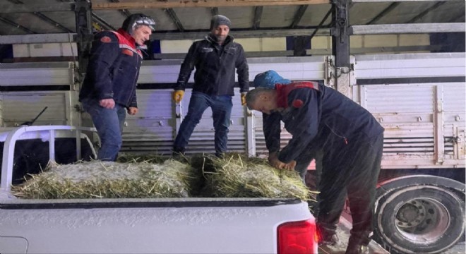 Hayvanlar aç kalmasın diye imdada yetiştiler