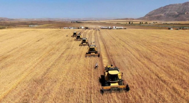 Hububat alım süresi 21 Eylül'e uzatıldı