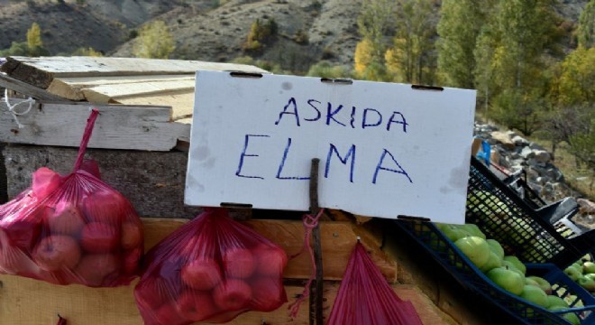 Karayolu kenarında ‘Askıda Elma'