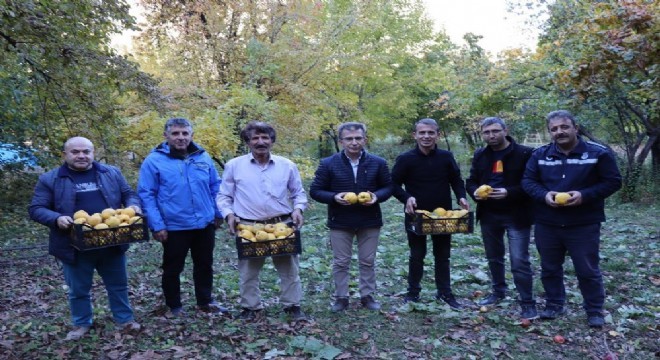 Karnavas'tan bir marka ürün daha