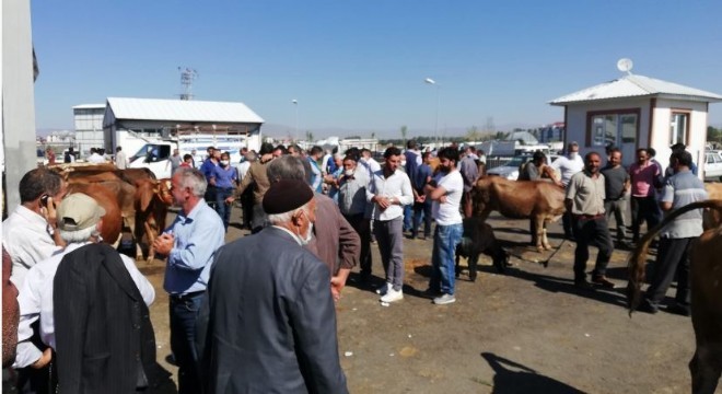 Kurbanlık pazarlığında 'sopalı' dönem