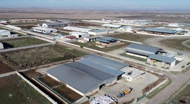 Kuzeydoğu Teşvikli yatırım sayısı bin 383'e ulaştı