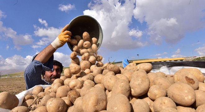 Mart'ta en çok patates pahalandı