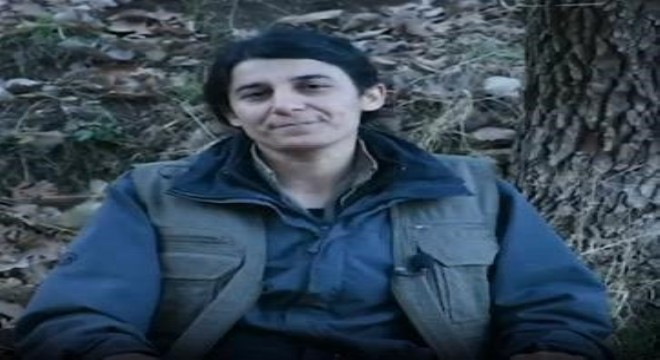 MİT'ten nokta operasyon