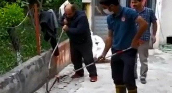 Oltu Karabekir'de Yılan Paniği