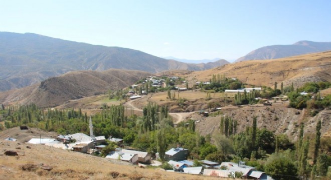 Olur'da altın rezervi gündemi