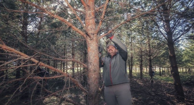 Orhan:'Hedef daha yeşil bir Aziziye'