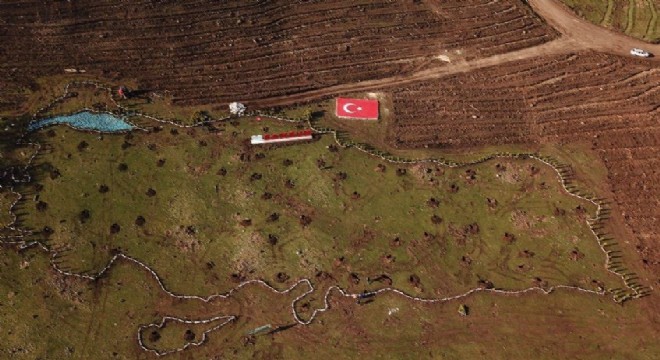 Samsun'dan Erzurum'a 19 bin 19 fidanla Türkiye haritası