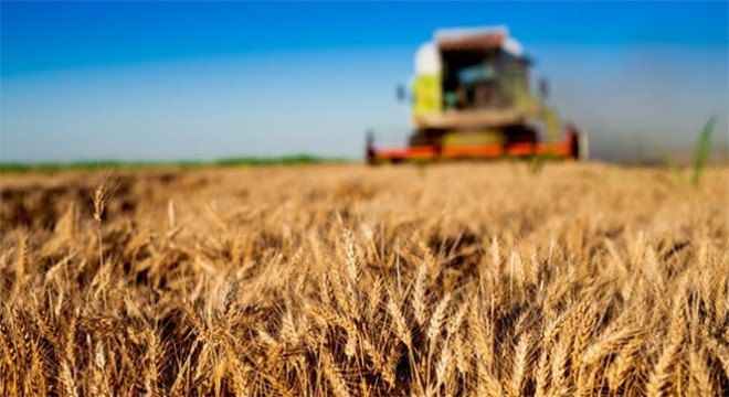 Tarımsal girdi fiyat endeksi açıklandı