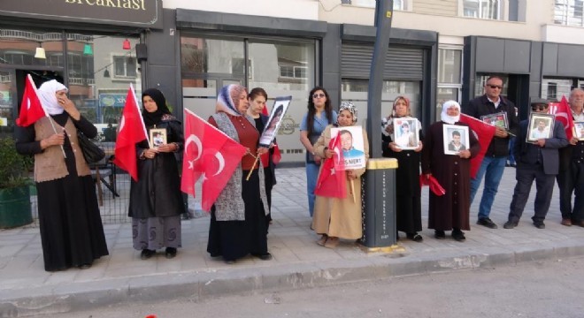 Vanlı annelerin evlat nöbeti 78'inci haftasında