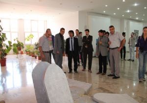 GSF'den çevresel proje