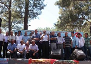 Bayraklı'da dadaş damgası