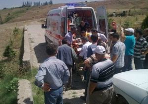 Yeşilyurt'ta ayı paniği