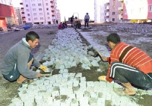 Kırmacı parka kavuşuyor