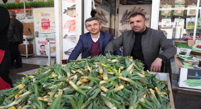 Çiriş otu, doğadan tezgahlara indi