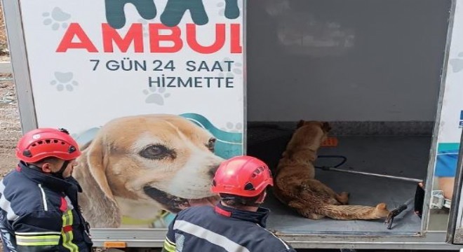 İtfaiyeden merhamet operasyonu